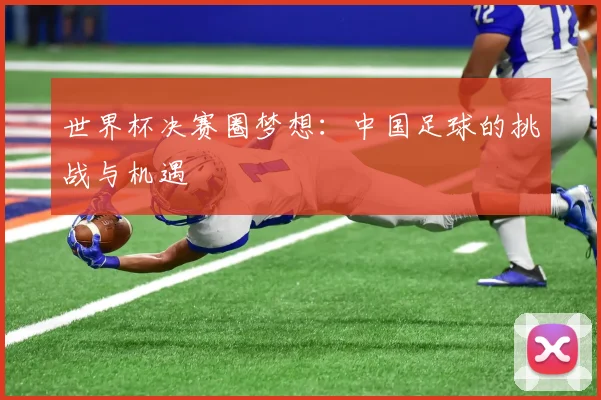 世界杯决赛圈梦想：中国足球的挑战与机遇